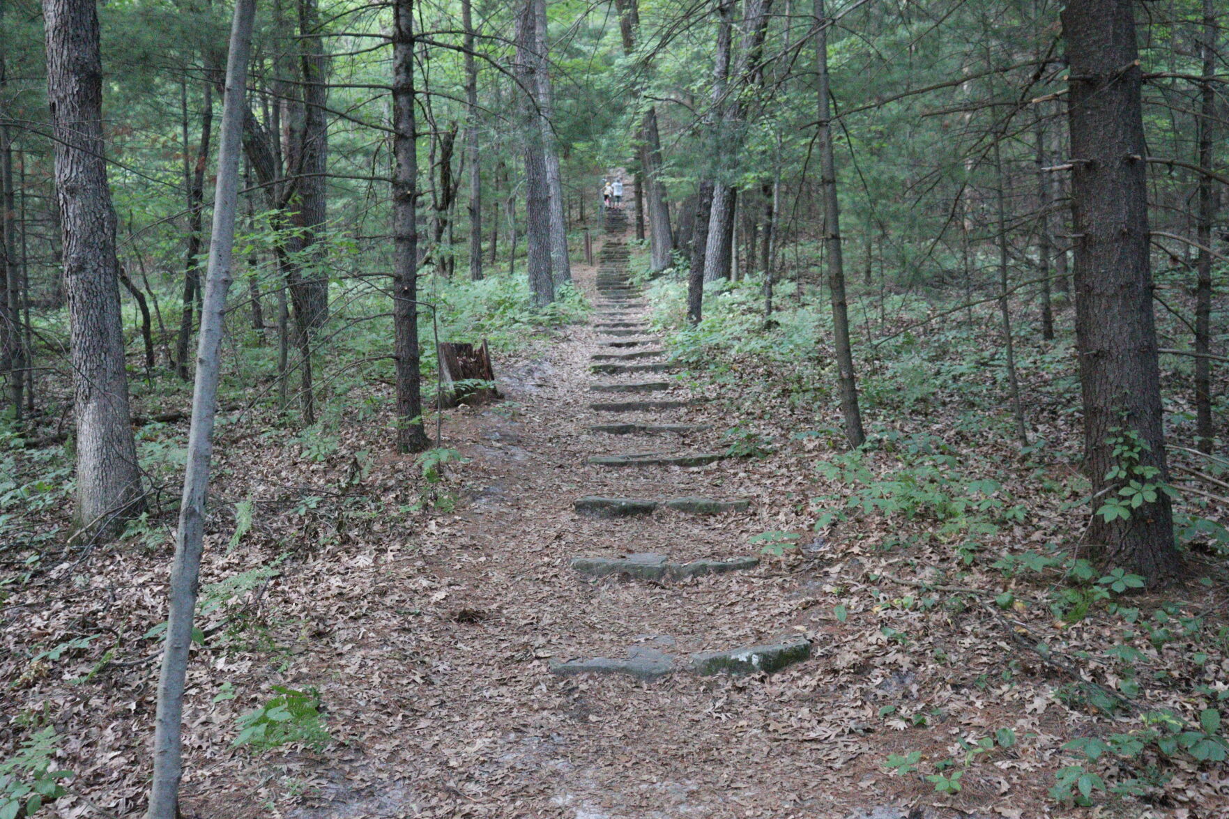 Mill Bluff State Park